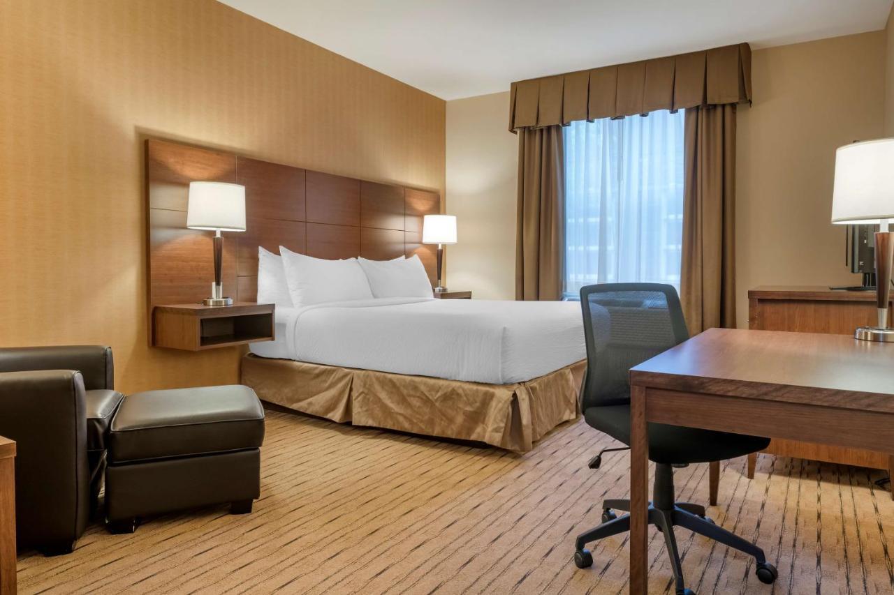 Best Western Plus, Bathurst Hotel & Suites Exteriör bild